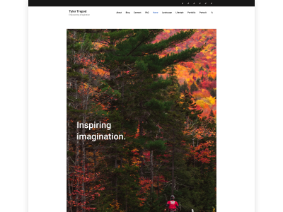 tylertrepod.com snapshot