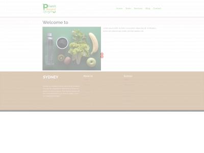 plant-based-lifesyle.com snapshot