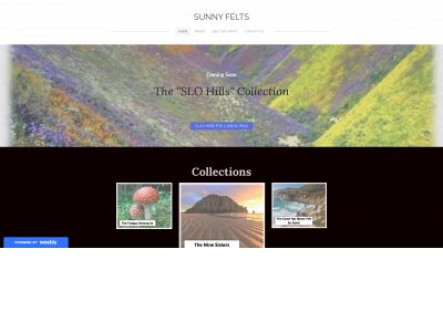 sunnyfelts.weebly.com snapshot