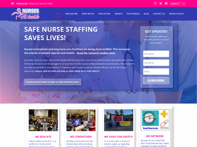 nursestakeflorida.com snapshot
