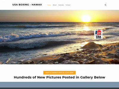 www.usaboxing-hawaii.org snapshot