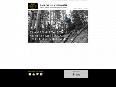 shaolinkick.com snapshot