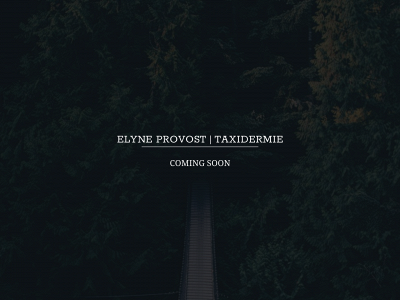 elyneprovosttaxidermie.be snapshot