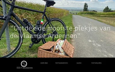 salesandorganization.be snapshot