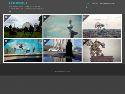 berlinninja.com snapshot