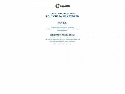cathys-bond-babe-boutique.dk snapshot