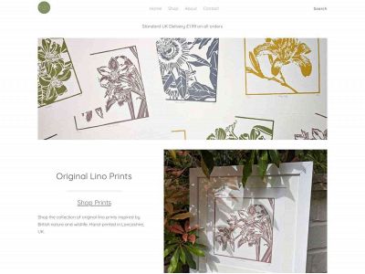 aliceyoungdesign.weebly.com snapshot