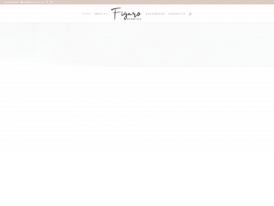 figaroesthetics.com snapshot