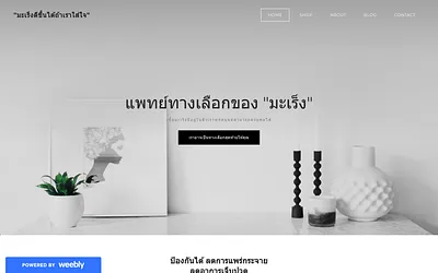 xn--12clb5da4bzaenr2gsbu6ezggd7jqd.weebly.com snapshot