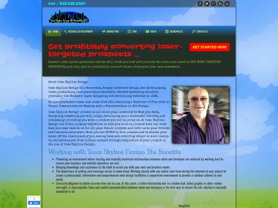 tomsskylinedesign.com snapshot