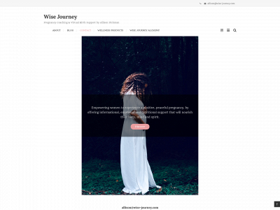 wise-journey.com snapshot