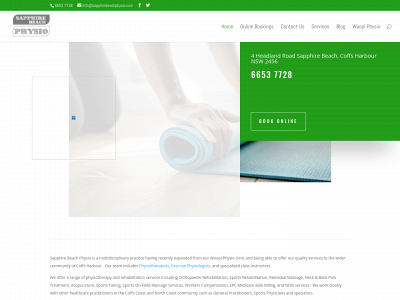 sapphirebeachphysio.com snapshot