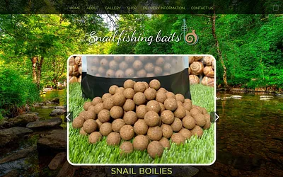 snailfishingbaits.co.uk snapshot