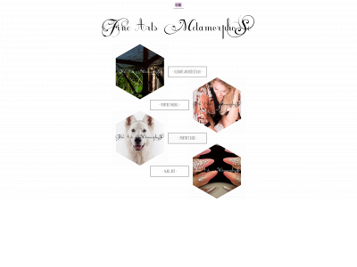 fine-arts-metamorphose.com snapshot