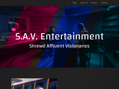 savlives.com snapshot