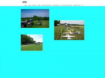 ricelakemodelairplaneclub.com snapshot