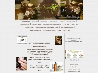 beyondbeautyashford.com snapshot