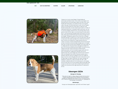 chelseabeagle.se snapshot