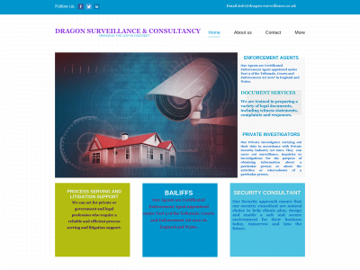 dragon-surveillance.co.uk snapshot