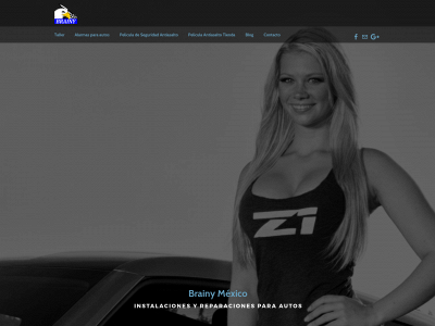 www.brainy.com.mx snapshot