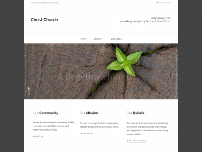 christisgain.org snapshot