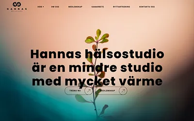 hannashalsostudio.se snapshot