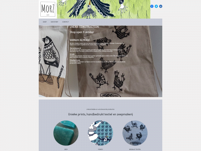 morz.studio snapshot
