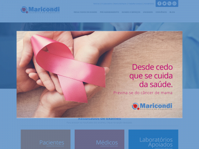 labmaricondi.com.br snapshot