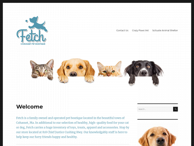 fetch02025.com snapshot