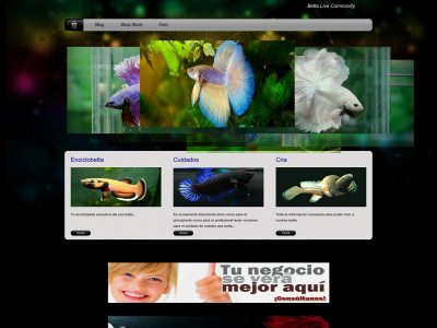 bettalivecommunity.com snapshot