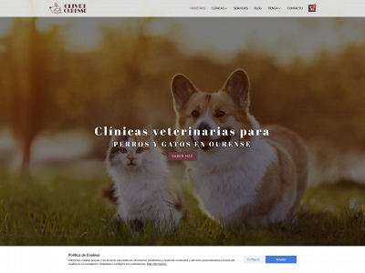 www.clivetourense.com snapshot