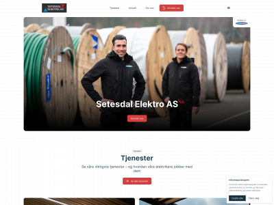 setesdalelektro.no snapshot