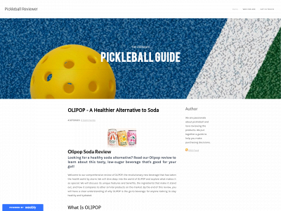 pickleballguide.weebly.com snapshot