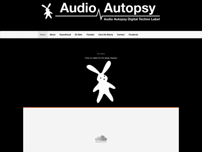 audio-autopsy.com snapshot