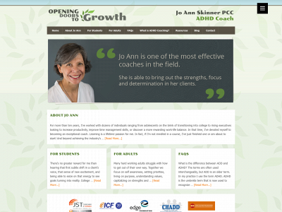 joannskinner.com snapshot