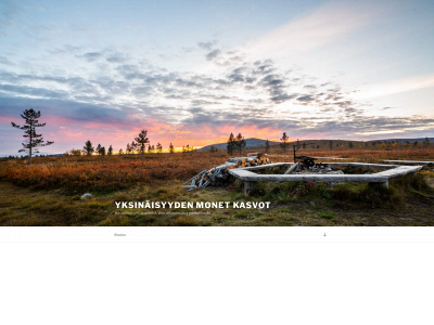 yksinaisyydenmonetkasvot.com snapshot