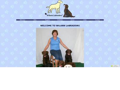wilannlabradors.com snapshot