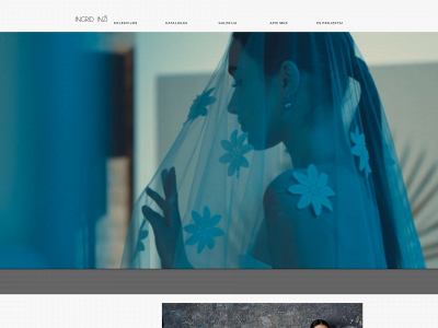inzi.lt snapshot