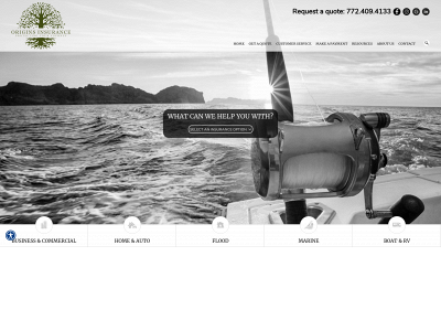 originsinsurance.com snapshot