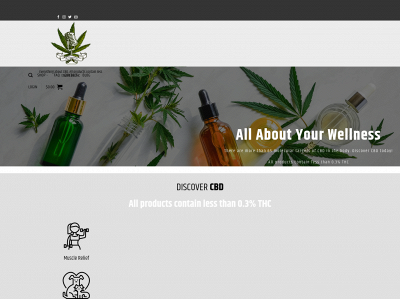 cbdandconversations.com snapshot