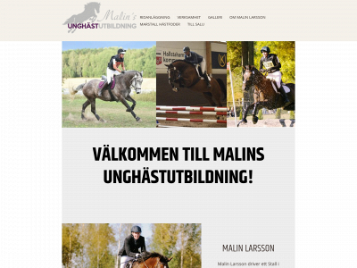 malinsunghastutb.se snapshot