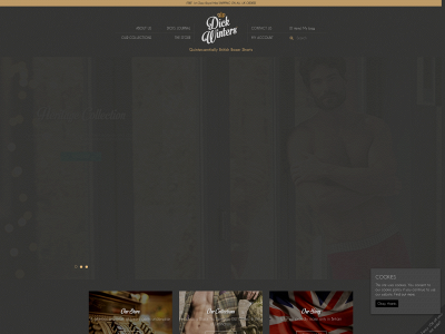 dickwinters.co.uk snapshot
