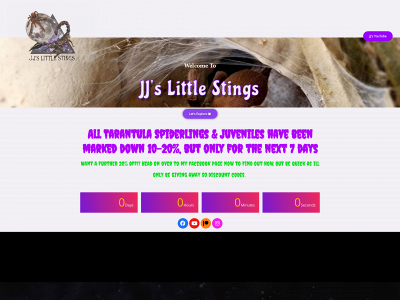 www.jjslittlestings.com snapshot