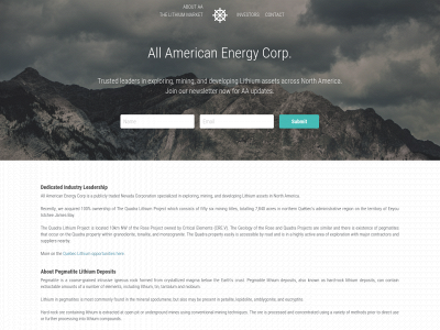 allamericanenergycorp.com snapshot