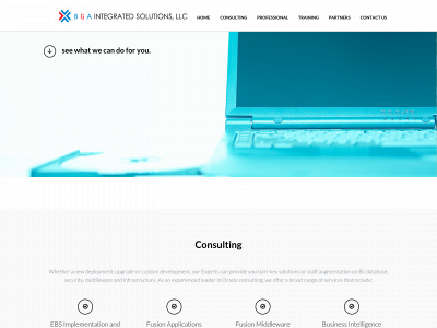 baisllc.com snapshot