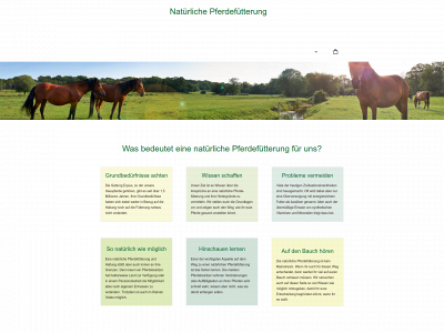 natuerliche-pferdefuetterung.de snapshot
