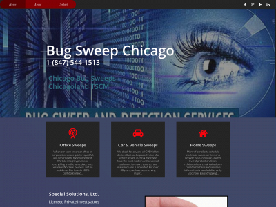bugsweepchicago.com snapshot