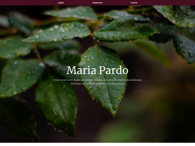 mariapardo.com snapshot