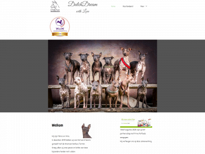 americanhairlessterrier.nl snapshot