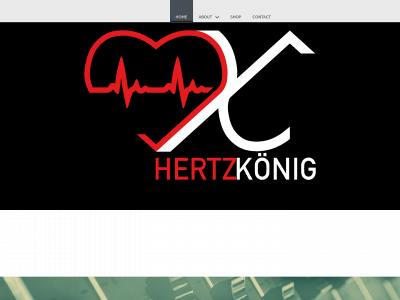 hertzkoenig.com snapshot